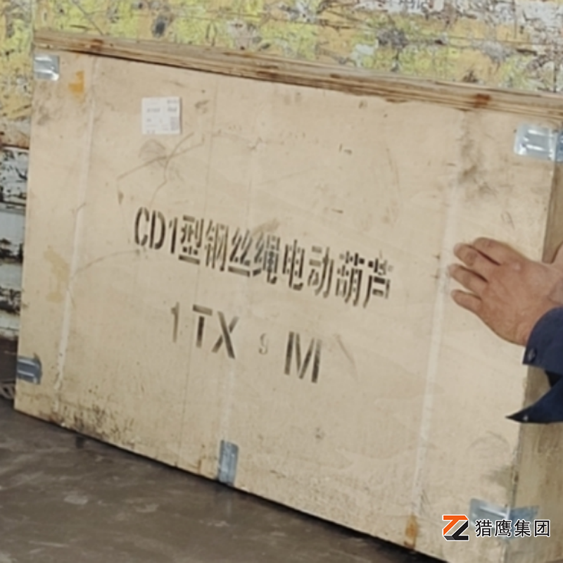 鋼絲繩電動(dòng)葫蘆廠家